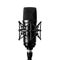Professional studio microphone, isolated on transparent background.
