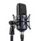Professional studio microphone, isolated on transparent background.