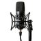 Professional studio microphone, isolated on transparent background.