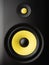 Professional studio monitor speaker with hi fi components