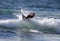 Professional Surfer - Cannelle Bulard - Merewether Australia