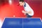 Professional table tennis player. Top view of confident young me