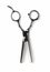 Professional thinning scissors