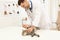 Professional veterinarian vaccinating cute cat