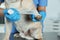 Professional veterinarian wrapping dog`s paw with bandage in clinic, closeup