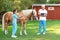 Professional veterinarians examining palomino horse on sunny day