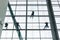 Professional window cleaners climbing up facade