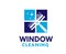 Professional window cleaning washing