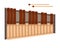 Professional Wooden Xylophone with two percussion mallets