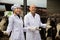 Professional workers in white gown technician caring cows in cow