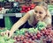 Professional young female seller holding bunch of grapes on mark