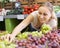 Professional young female seller holding bunch of grapes on mark