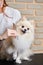 professional young groomer combing little pet dog pomeranian spitz