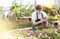 Professional young male florist checking potted Osteospermum Ecklonis flower in greenhouse