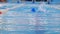 Professional young swimmer in blue cap swims in pool