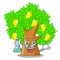 Professor mango tree in the cartoon shape