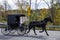 Profile of an  Amish Carriage as it rides through Upper New York State