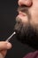 Profile of bearded man painfully pulling out gray hair from graying beard with tweezers, unpleasant emotions in