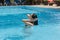 Profile of black haired graceful young woman swimming in swimming pool, spending time at luxurious hotel spa resort, touching her