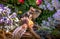 Profile of a brown striped chipmunk