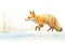 profile of a fox stalking prey in deep winter snow