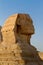 Profile of the head of the Great Sphinx at the Giza Pyramid Complex, Giza, Egypt