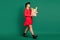 Profile photo of housewife lady paper bag food look empty space go wear hat red dress boots isolated green color