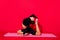 Profile photo of tender gorgeous stunning lady stretch body wear black cropped top isolated red color background