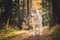 Profile Portrait of beautiful, attentive and prideful Beige and white dog breed Siberian Husky standing in the bright autumn