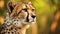 Profile portrait of a cheetah on a blurred background. Closeup image of a cheetah looking to the side. Profile portrait of a