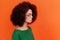 Profile portrait of sad upset woman with Afro hairstyle wearing green casual style sweater standing