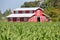 Profile Red Barn in Cornfield