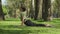 Profile shot of a fit woman doing a yoga sequence on an urban park