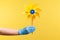 Profile side view closeup of human hand in blue surgical gloves holding yellow pinwheel