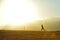 Profile silhouette of young man running in countryside training cross country jogging discipline in summer sunset