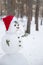 In profile snowman in a hat of Santa Claus on background of the