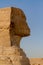 Profile view of the head of the Great Sphinx at the Giza Pyramid Complex, Giza, Egypt