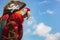 profile view of a parrot on a pirate hat against a blue sky