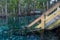 Profile of a wooden staircase coming down in the water od Ginnie Springs, Florida. Cypress forest in the lagoon