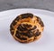 A profiterole, french choux pastry covered chocolate chips