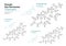 Progesterone, Pregnenolone, Allopregnanolone. Female Sex Hormones. Structural Chemical Formula and Molecule Model. Line Design.