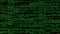 Program code of matrix on black background. Animation. Green text from set of codes providing matrix database. Large