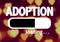 Progress Bar Loading with the text: Adoption