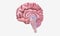 Progression of Multiple Sclerosis Sagittal View