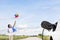 Progressive young asian boy playing with wind pinwheel toy at wind turbine farm.