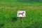 The prohibitive sign `Not for dog walking`