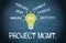 Project management