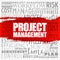Project Management word cloud collage, business concept background