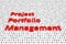 Project portfolio management