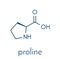 Proline l-proline, Pro amino acid molecule. Skeletal formula.